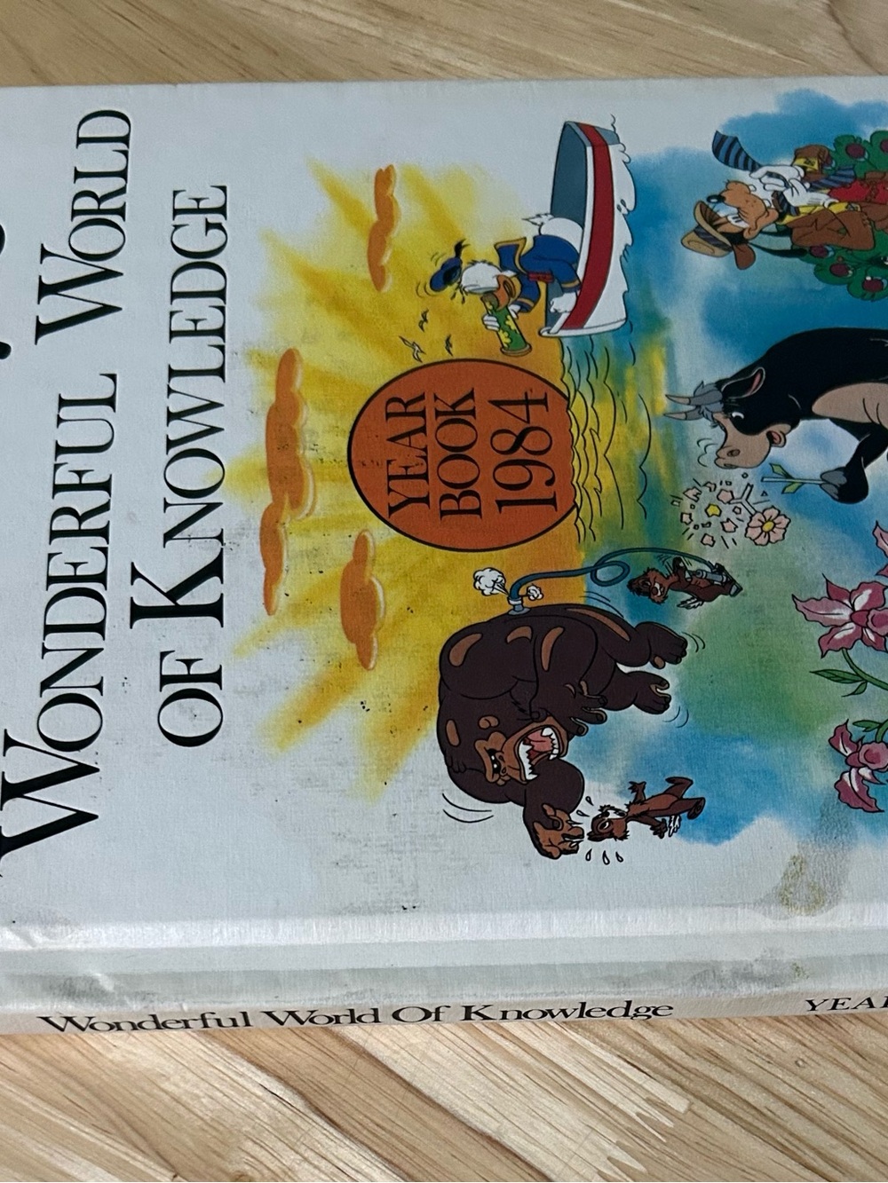 Disney Year Book 1984 Hardcover with Multicolor Character Art - Picture 12 of 12